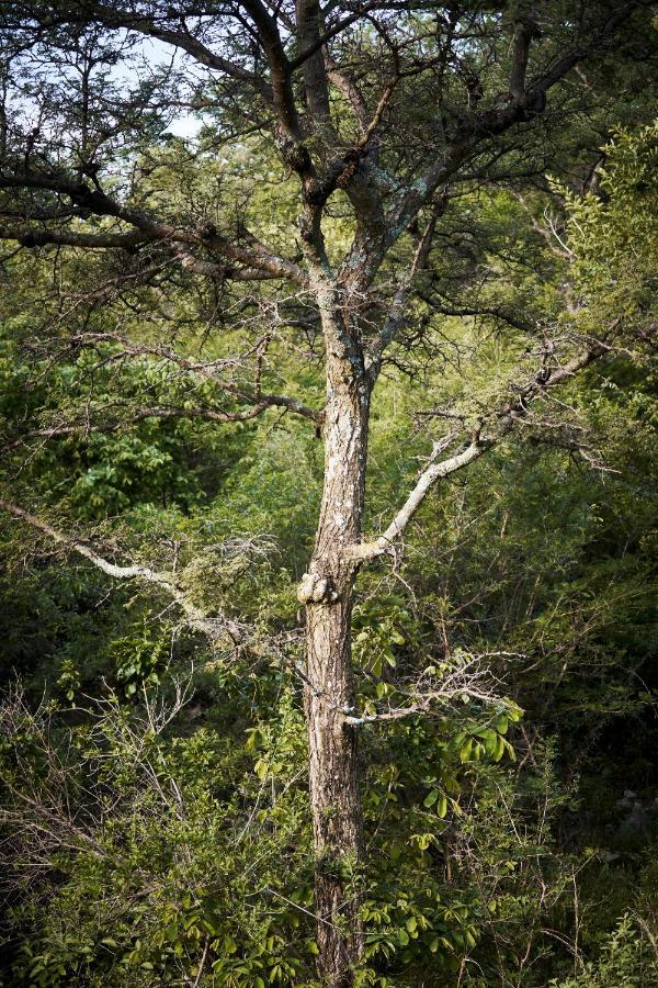 Letamo At Qwabi Private Game Reserve By Newmark เบอลา-เบอลา ภายนอก รูปภาพ
